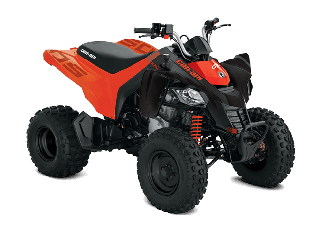 Can-Am DS 250 — фото 2